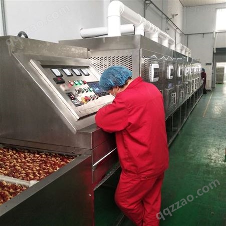 2020新品红枣片微波干燥设备 红枣干燥机